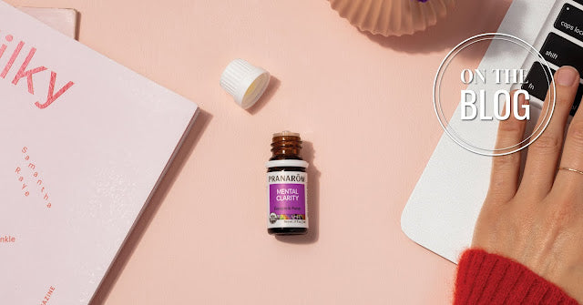 Back-to-School Survival Kit