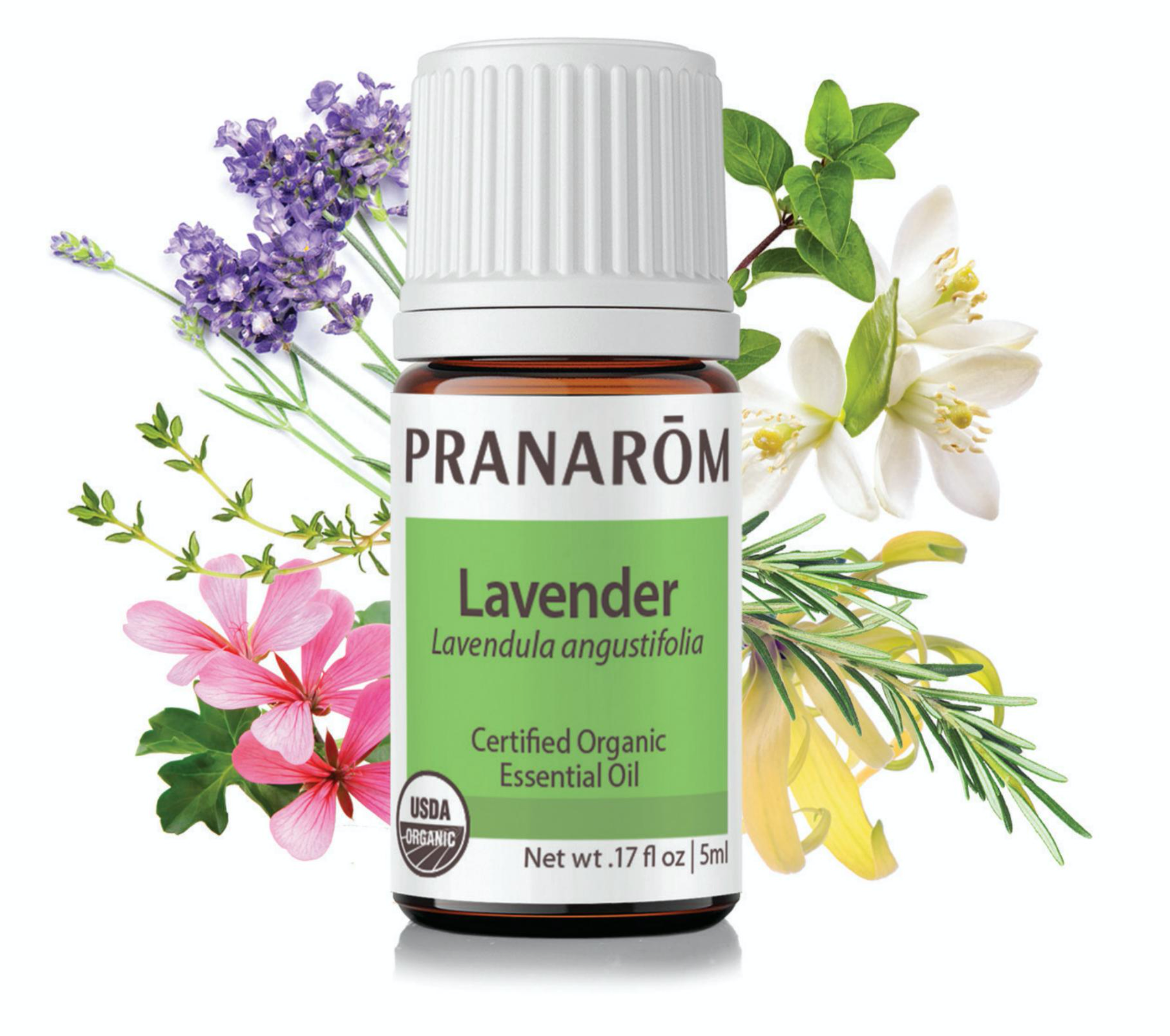 What are essential oils?