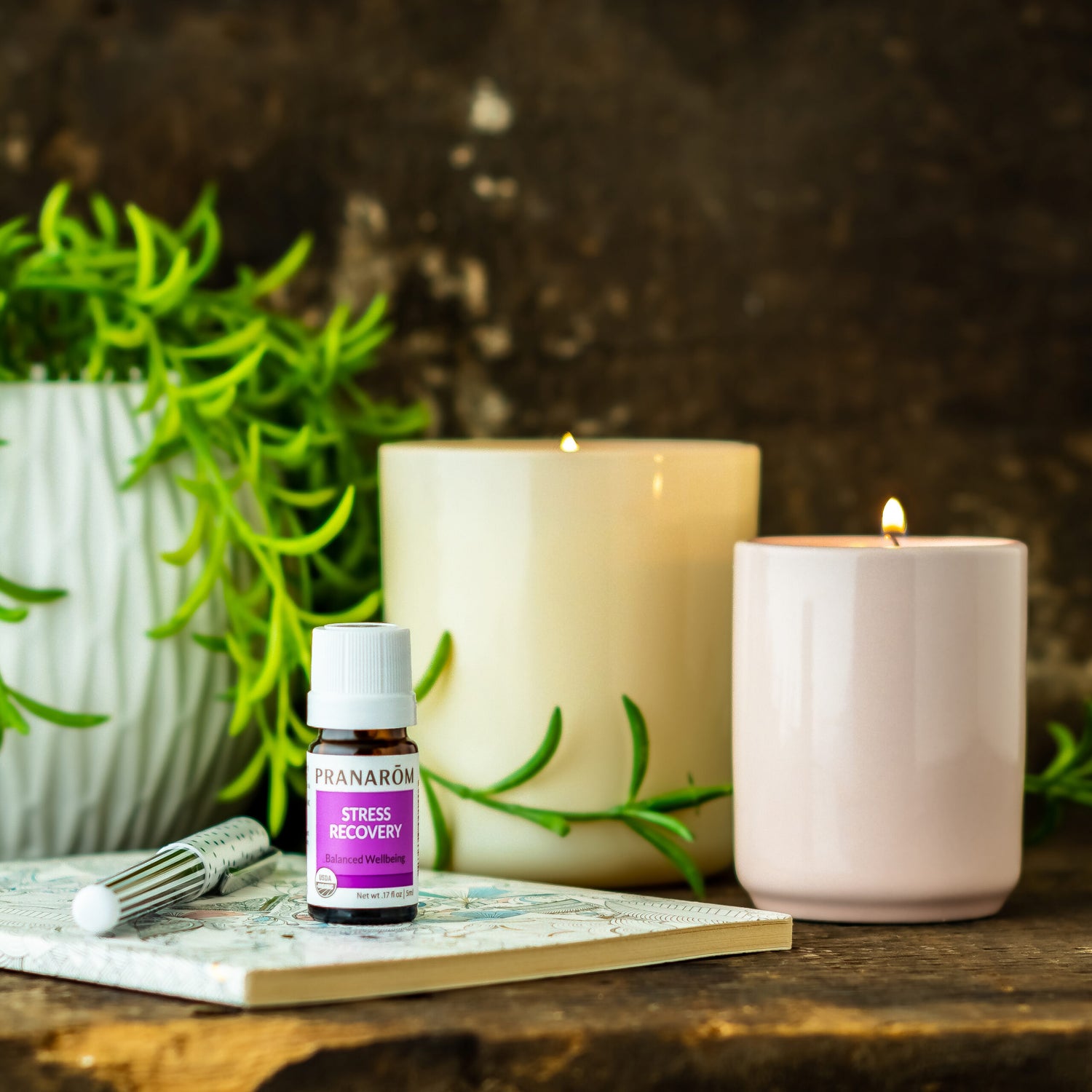 5 Tips for Productivity