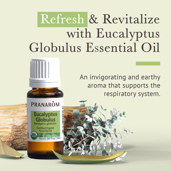15egl1-single-notes-eucalyptus-globulus-pranarom-15ml-us-859493020169-02.jpg