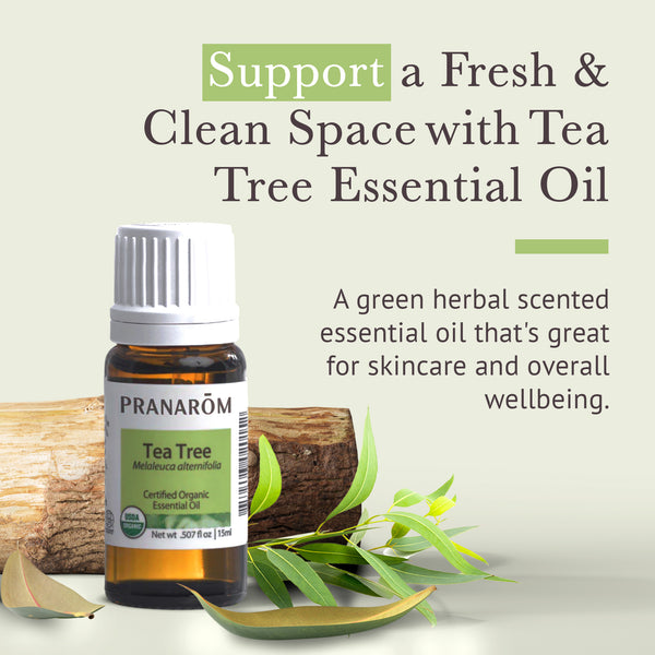 15tea1-single-notes-tea-tree-pranarom-15ml-us-859493020152-02.jpg