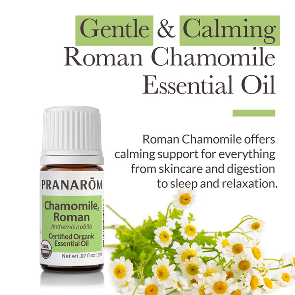 2rom1-single-notes-roman-chamomile-pranarom-2ml-us-859493010078-02.jpg