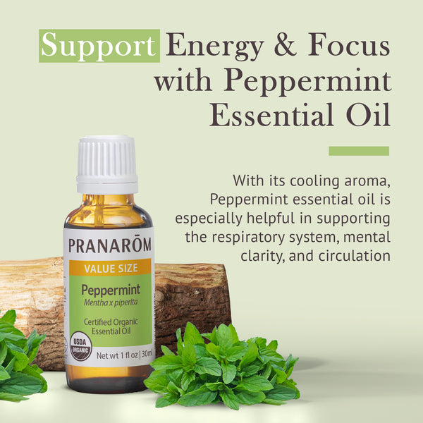 30pep1-single-notes-peppermint-pranarom-30ml-us-859493001045-02.jpg