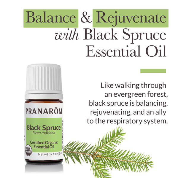 5bls1-single-notes-black-spruce-pranarom-5ml-us-859493020305-02.jpg