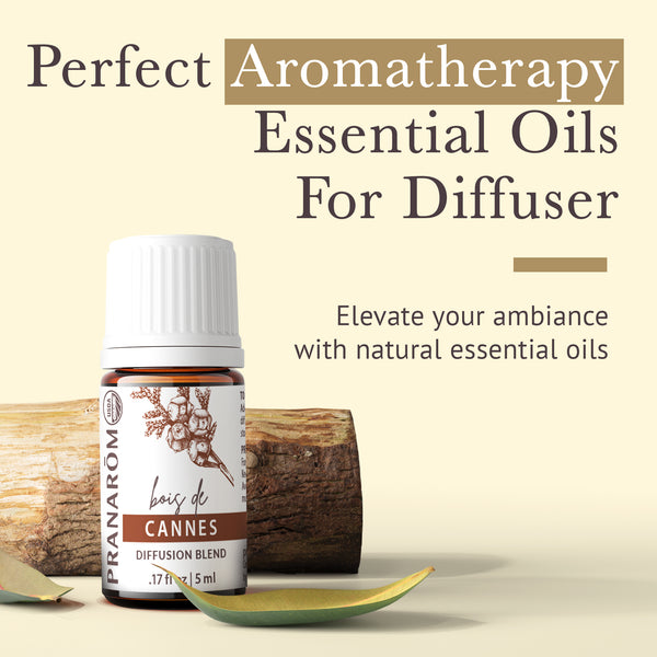 5can-diffusion-blends-cannes-pranarom-5ml-us-810094200169-02.jpg