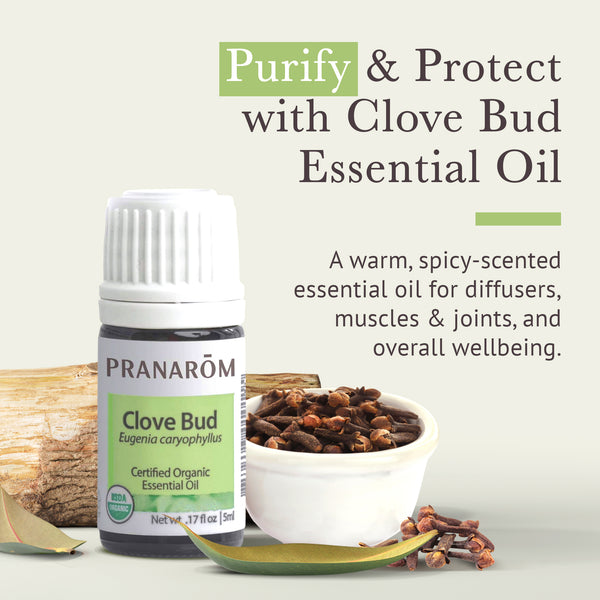 5clo1-single-notes-clove-pranarom-5ml-us-859493010115-02.jpg
