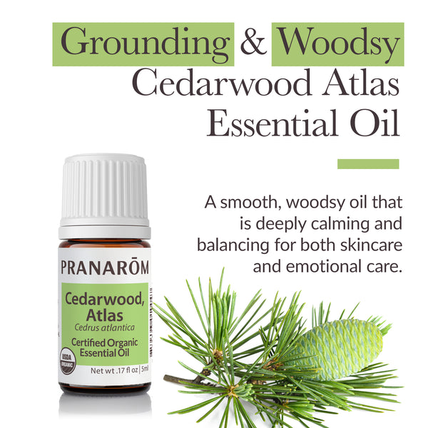 5cwo1-single-notes-cedarwood-atlas-pranarom-5ml-us-859493010047-02.jpg