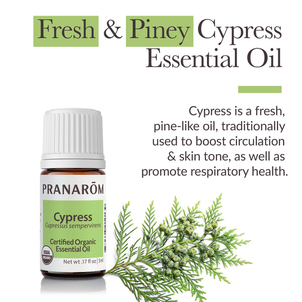 5cyp1-single-notes-cypress-pranarom-5ml-us-859493010139-02.jpg