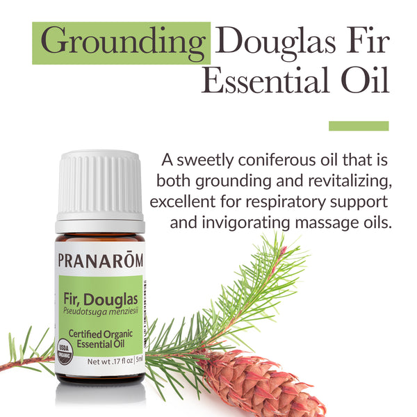5dou1-single-notes-fir-douglas-pranarom-5ml-us-859493010504-02.jpg