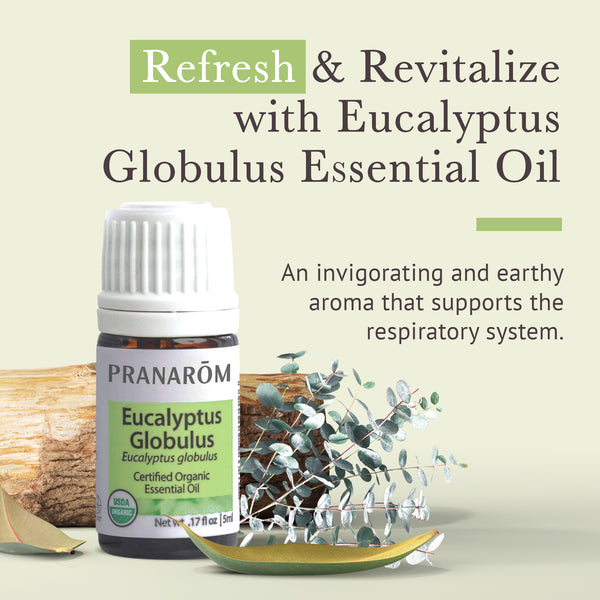 5egl1-single-notes-eucalyptus-globulus-pranarom-5ml-us-859493010146-02.jpg