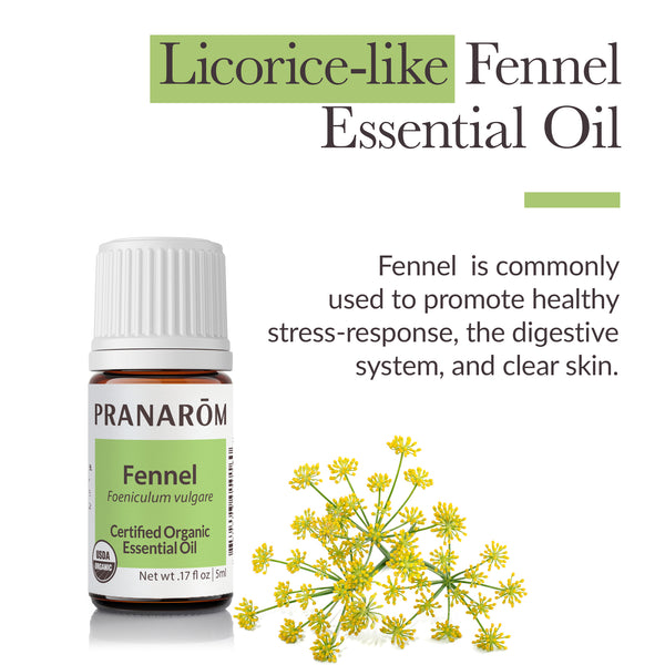 5fen1-single-notes-fennel-pranarom-5ml-us-859493010160-02.jpg