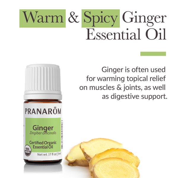 5gin1-single-notes-ginger-pranarom-5ml-us-859493001496-02.jpg