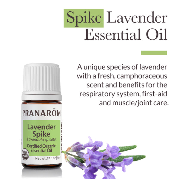 5lsp1-single-notes-lavender-spike-pranarom-5ml-us-859493010542-02.jpg