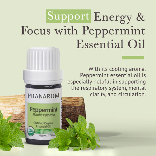 5pep1-single-notes-peppermint-pranarom-5ml-us-859493010337-02.jpg