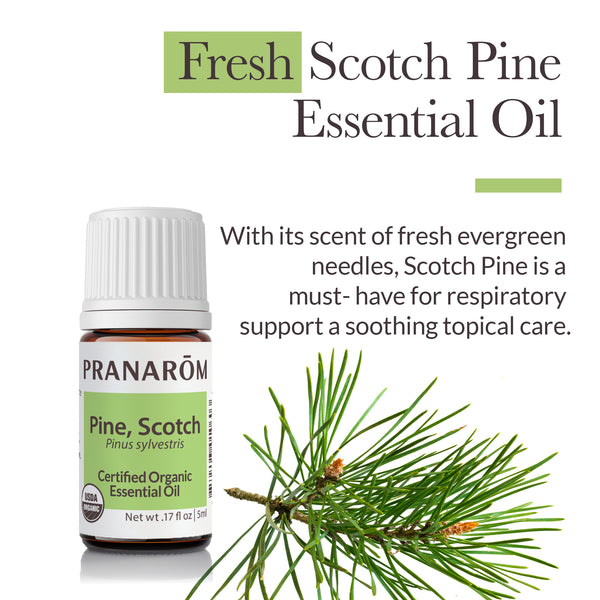 5pin1-single-notes-scotch-pine-pranarom-5ml-us-859493010603-02.jpg