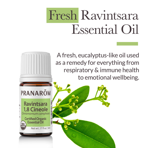 5rav1-single-notes-ravintsara-pranarom-5ml-us-859493010610-02.jpg