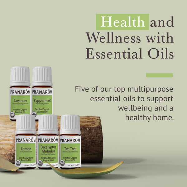 5topkit-kits-top-5-kit-pranarom-us-859493001113-02.jpg