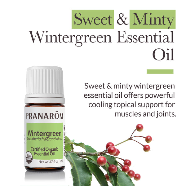 5win1-single-notes-wintergreen-pranarom-5ml-us-859493010672-02.jpg