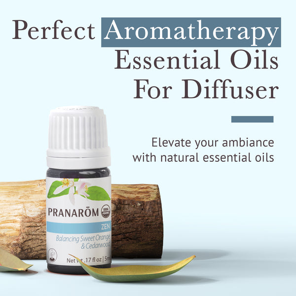 5zen-diffusion-blends-zen-pranarom-5ml-us-859493001441-02.jpg
