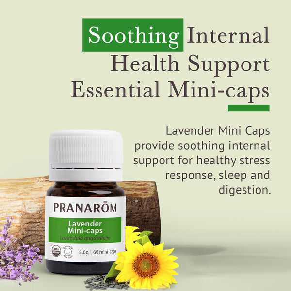 afmclav-aromaforce-lavender-mini-caps-pranarom-us-859493021425-02.jpg