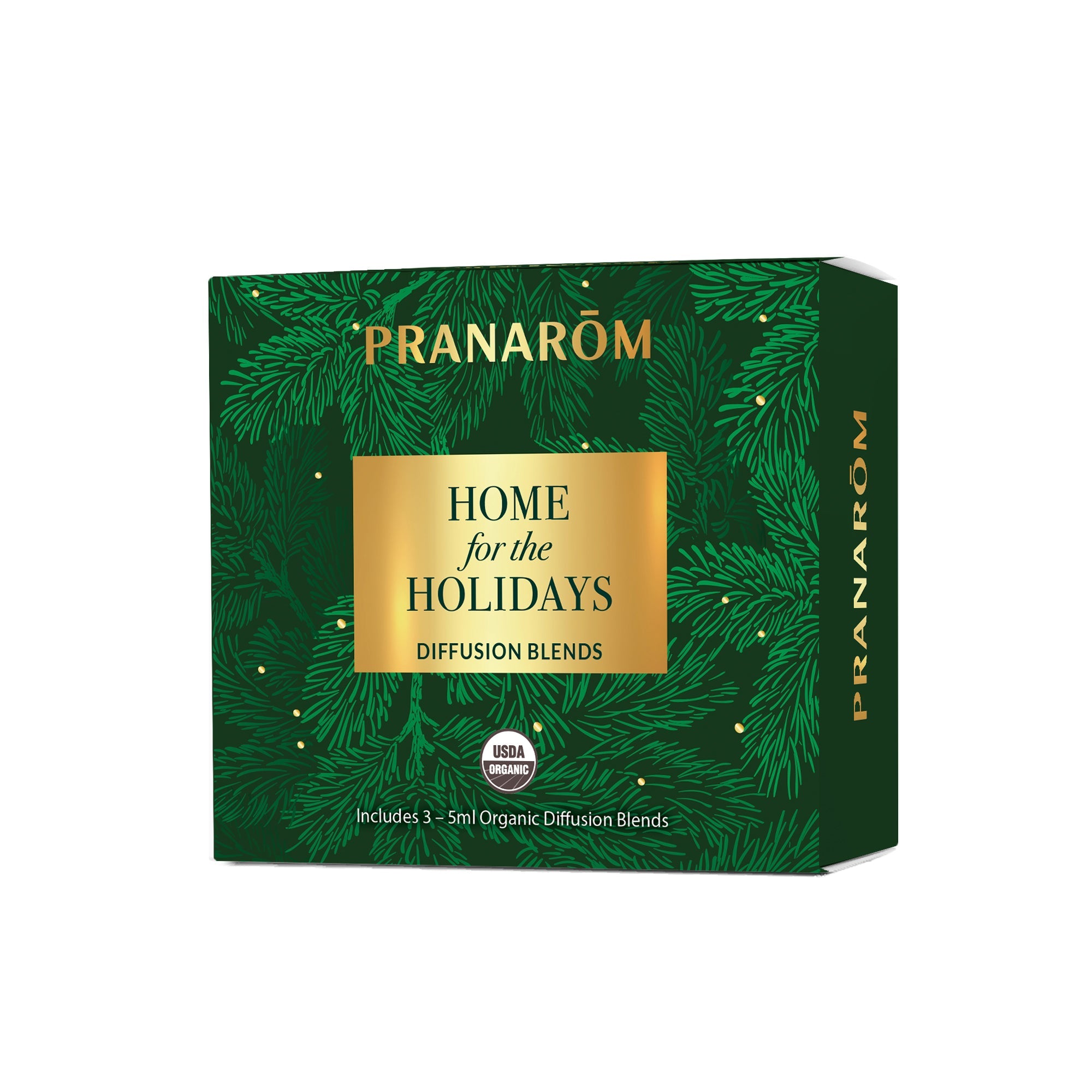 Home for the Holidays Diffusion Kit