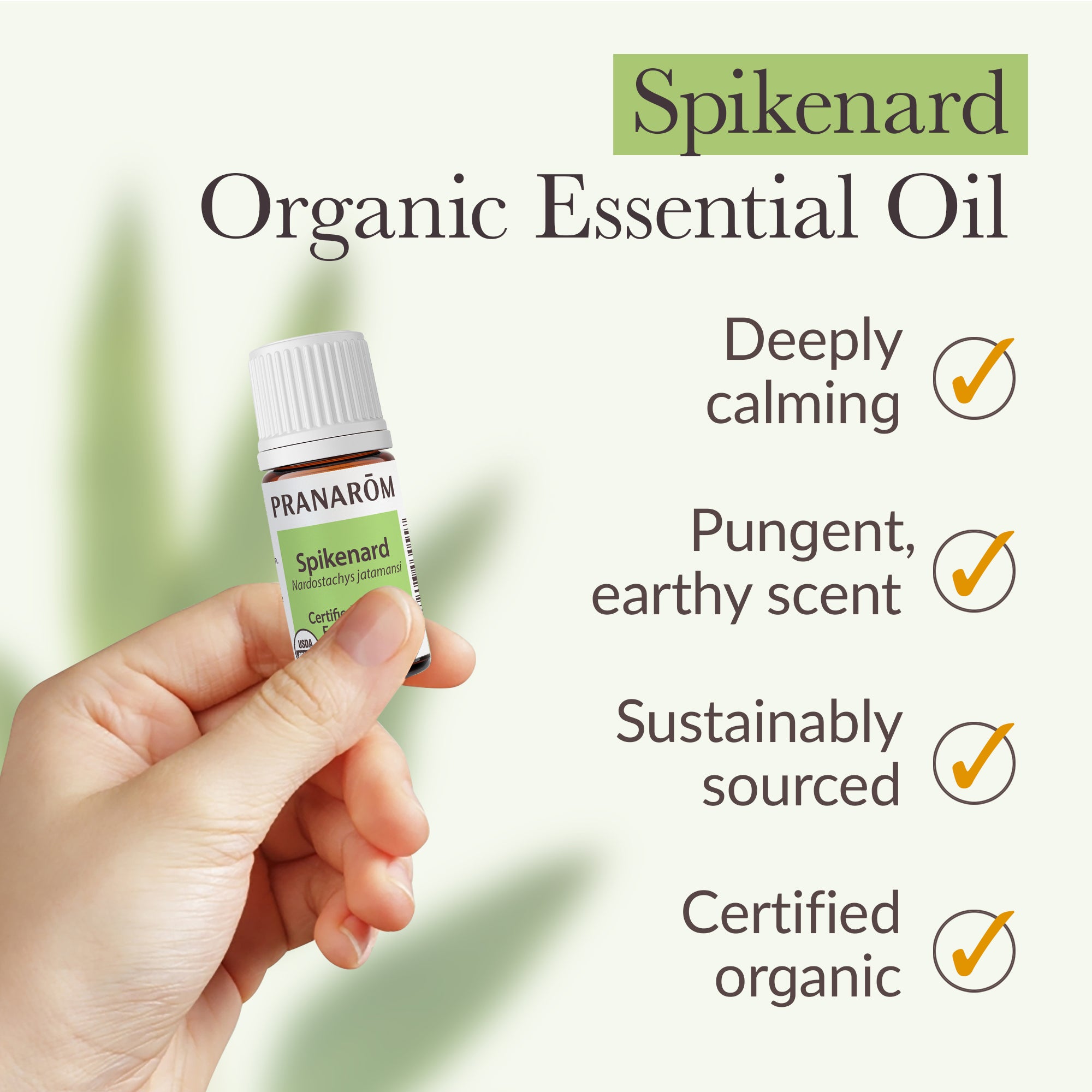 Spikenard Essential Oil - Organic