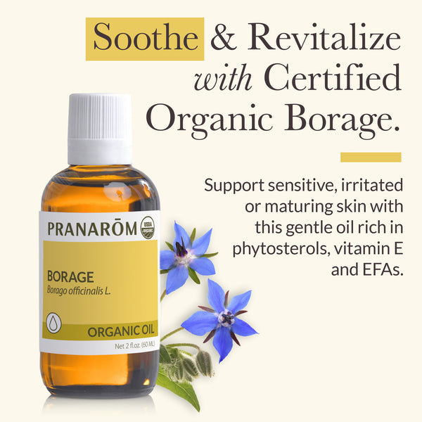 vpbor-virgin-plant-oil-borage-pranarom-60ml-us-859493020664-02.jpg