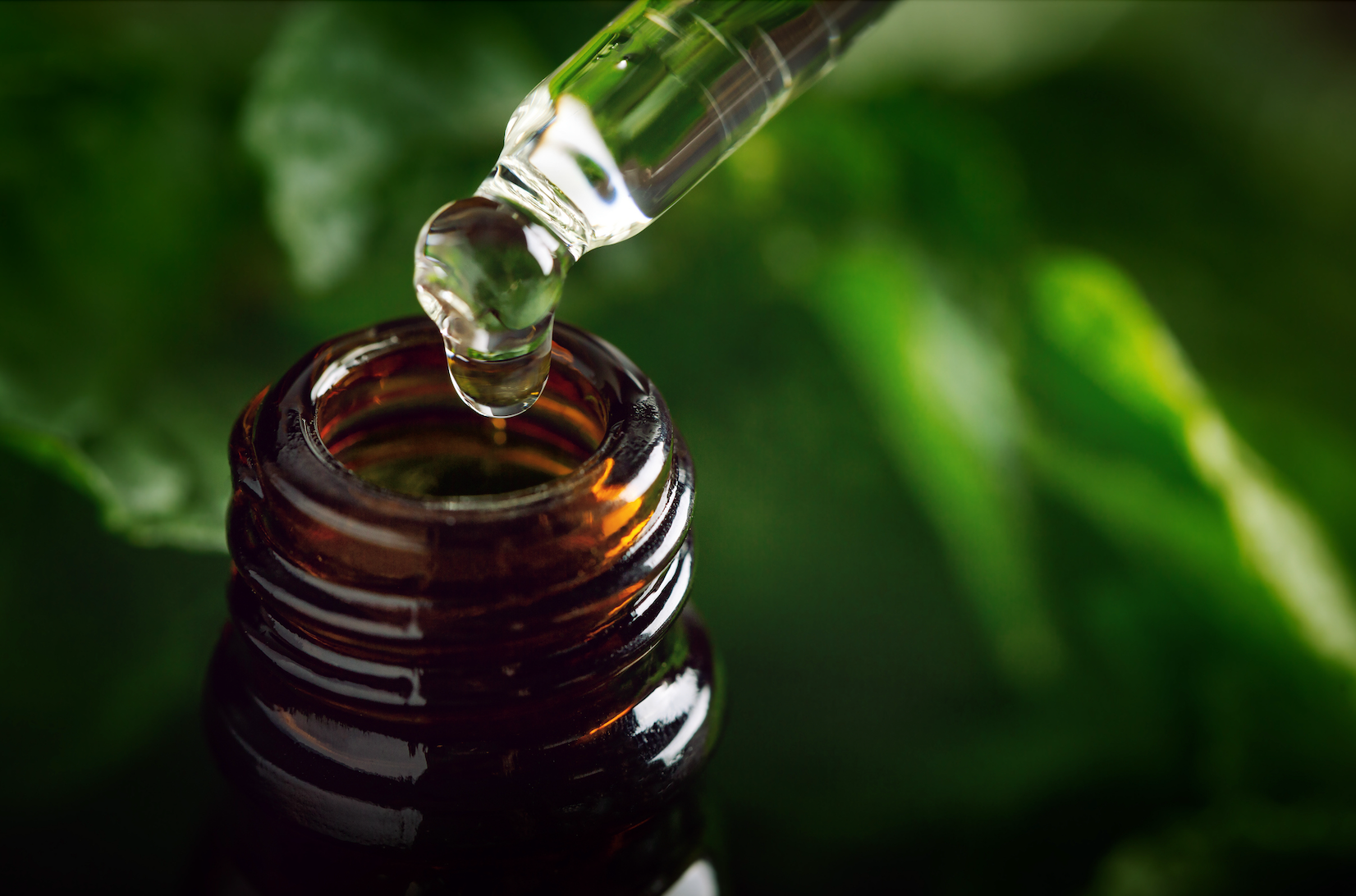 Purity, Potency, and Purpose: The Power of Certified Organic Essential Oils