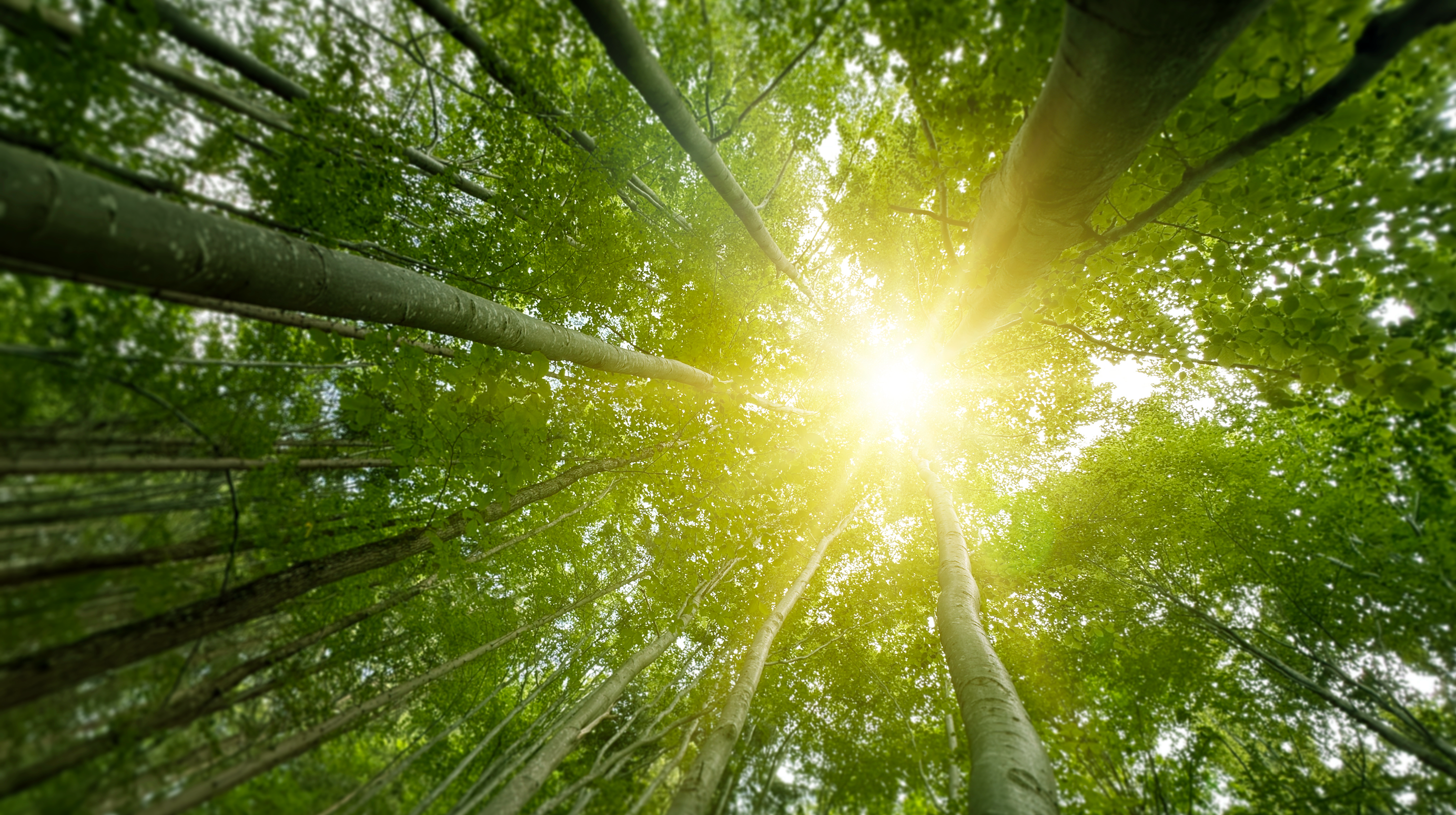 Earth Day, Reciprocity, and Pranarōm