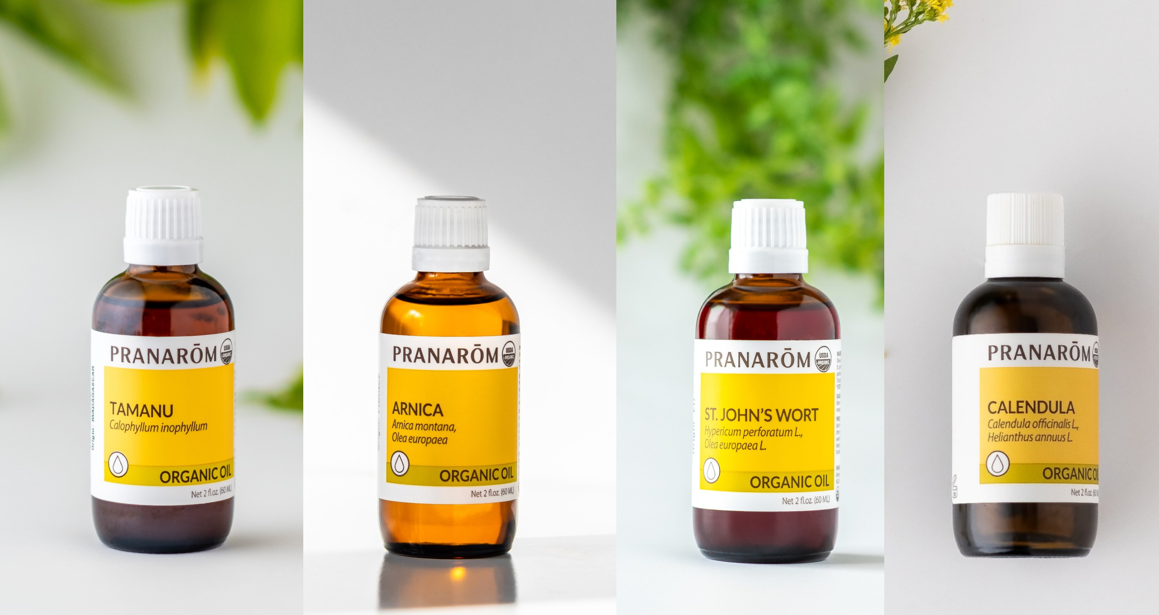 Plant Based First-Aid with Virgin Plant Oils