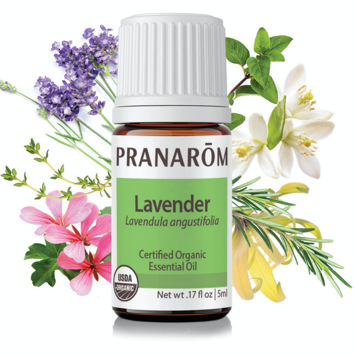 What are essential oils? | Pranarôm