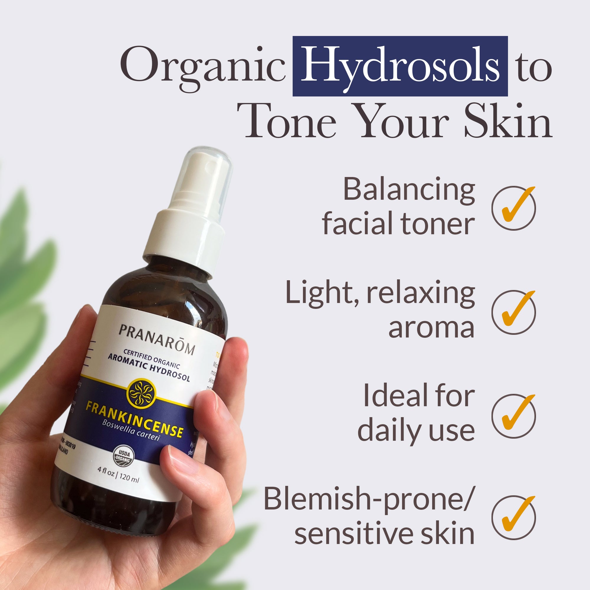 Frankincense Hydrosol | Pranarôm