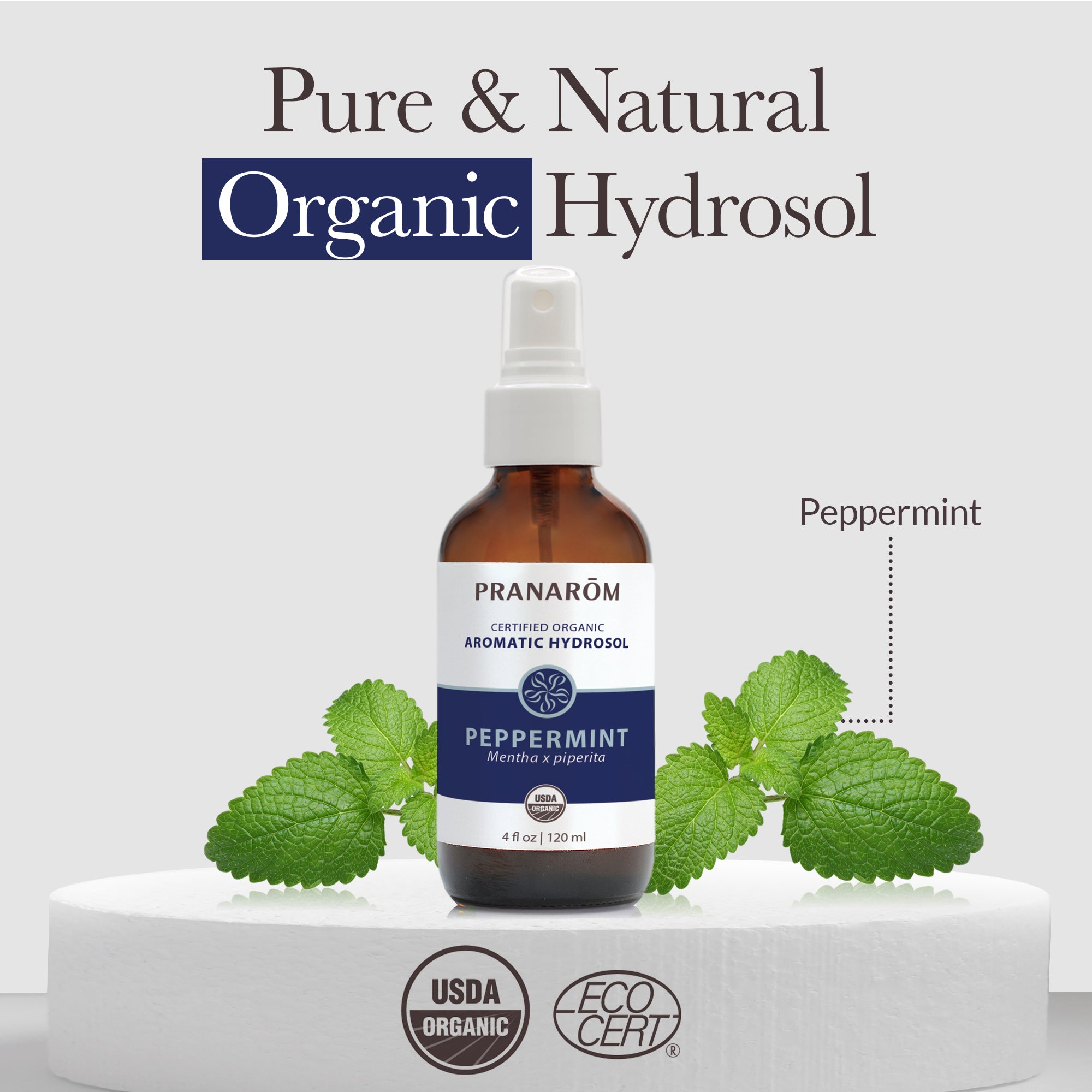 Peppermint Hydrosol - Organic | Pranarôm