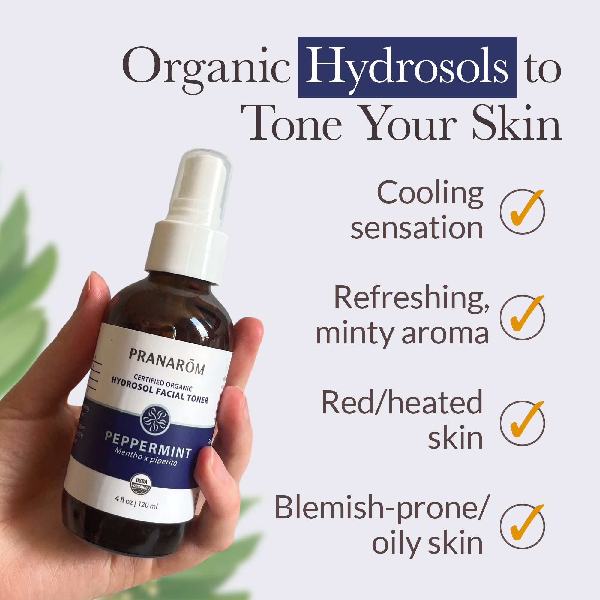 Peppermint Hydrosol - Organic | Pranarôm