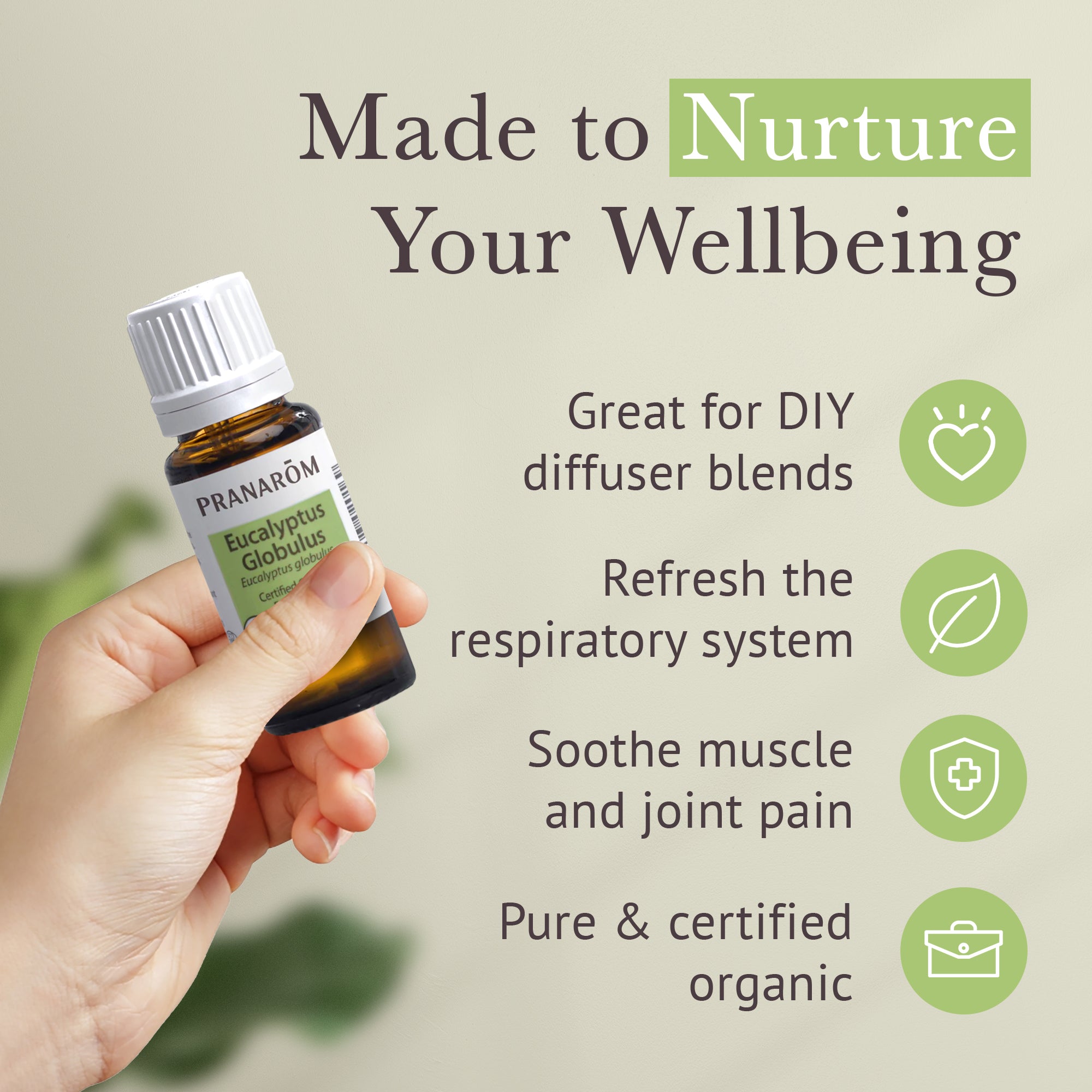 Eucalyptus Globulus Essential Oil - Organic | Pranarôm