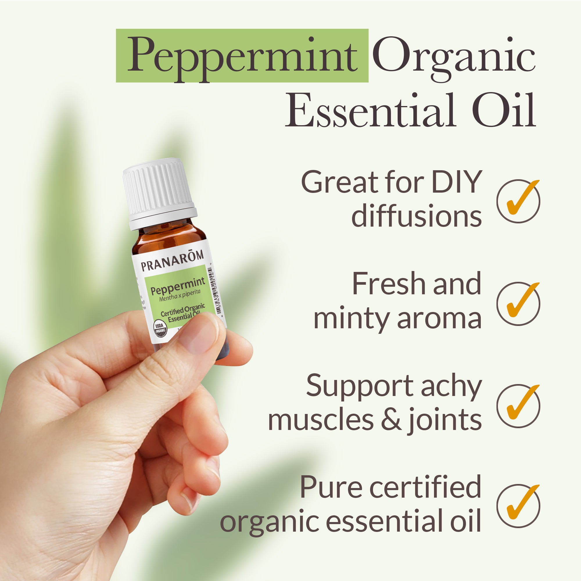 Peppermint Essential Oil - Organic | Pranarôm