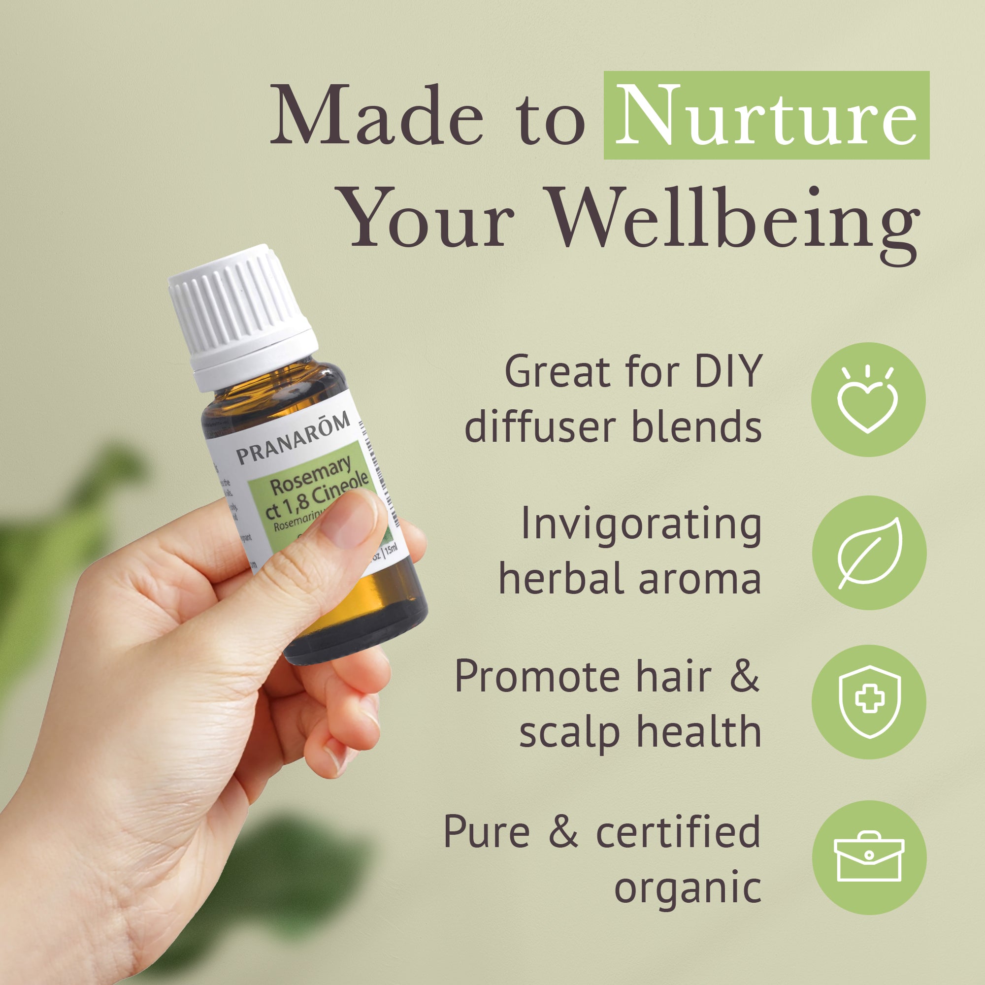 Rosemary ct 1,8 cineole Essential Oil - Organic | Pranarôm
