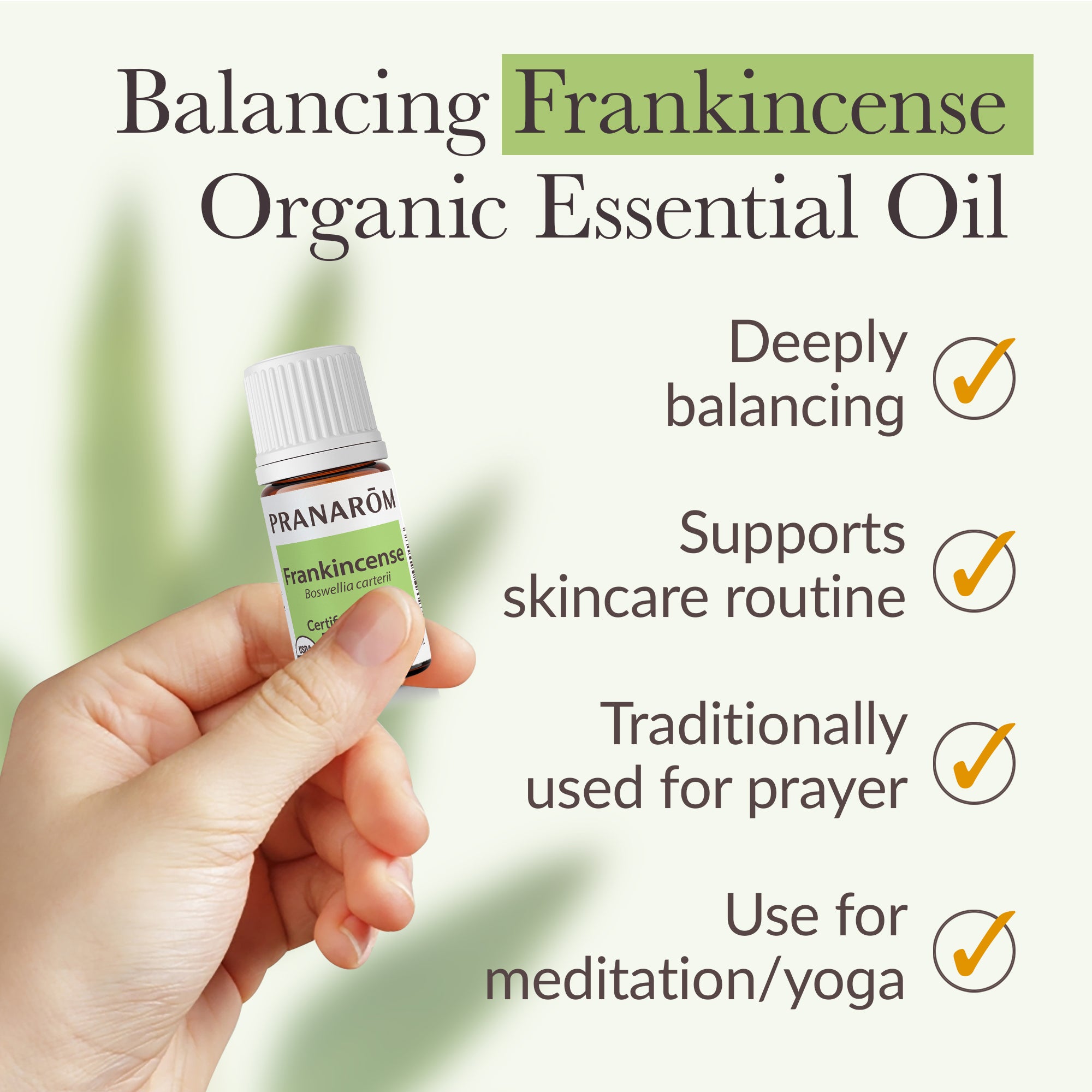 Frankincense Essential Oil - Organic | Pranarôm