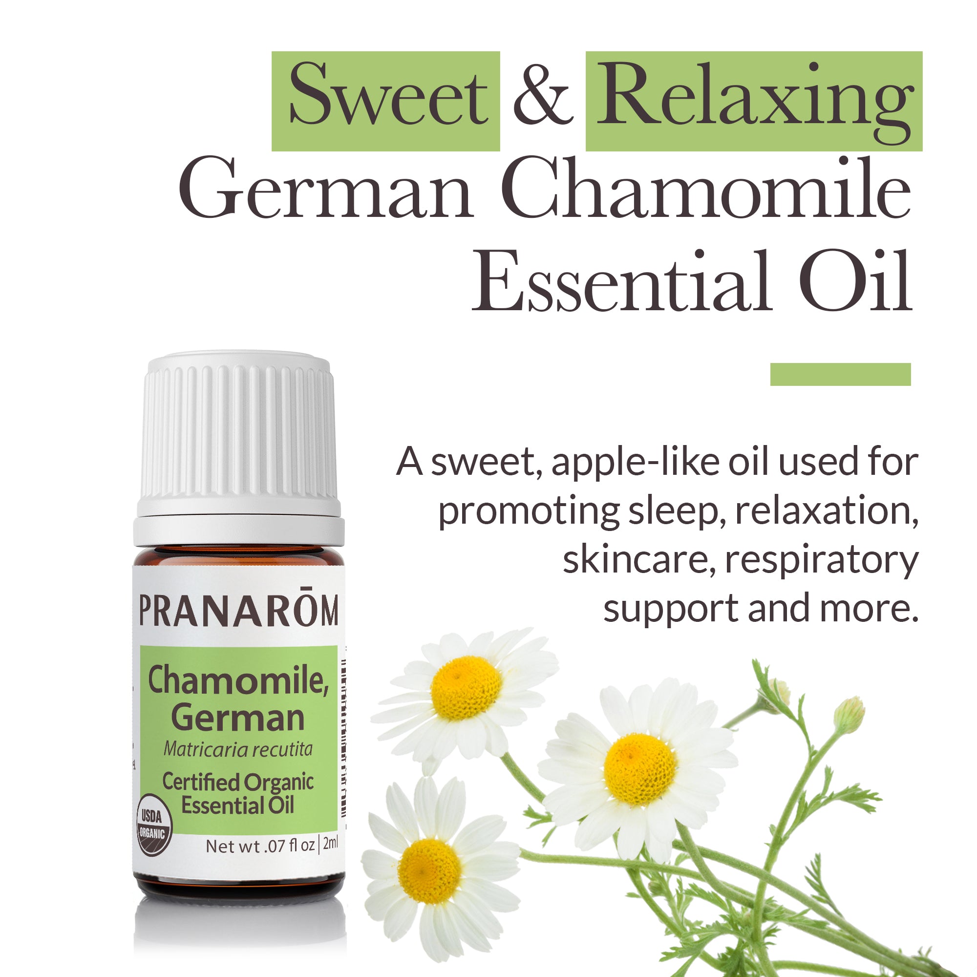Chamomile, German Essential Oil - Organic | Pranarôm