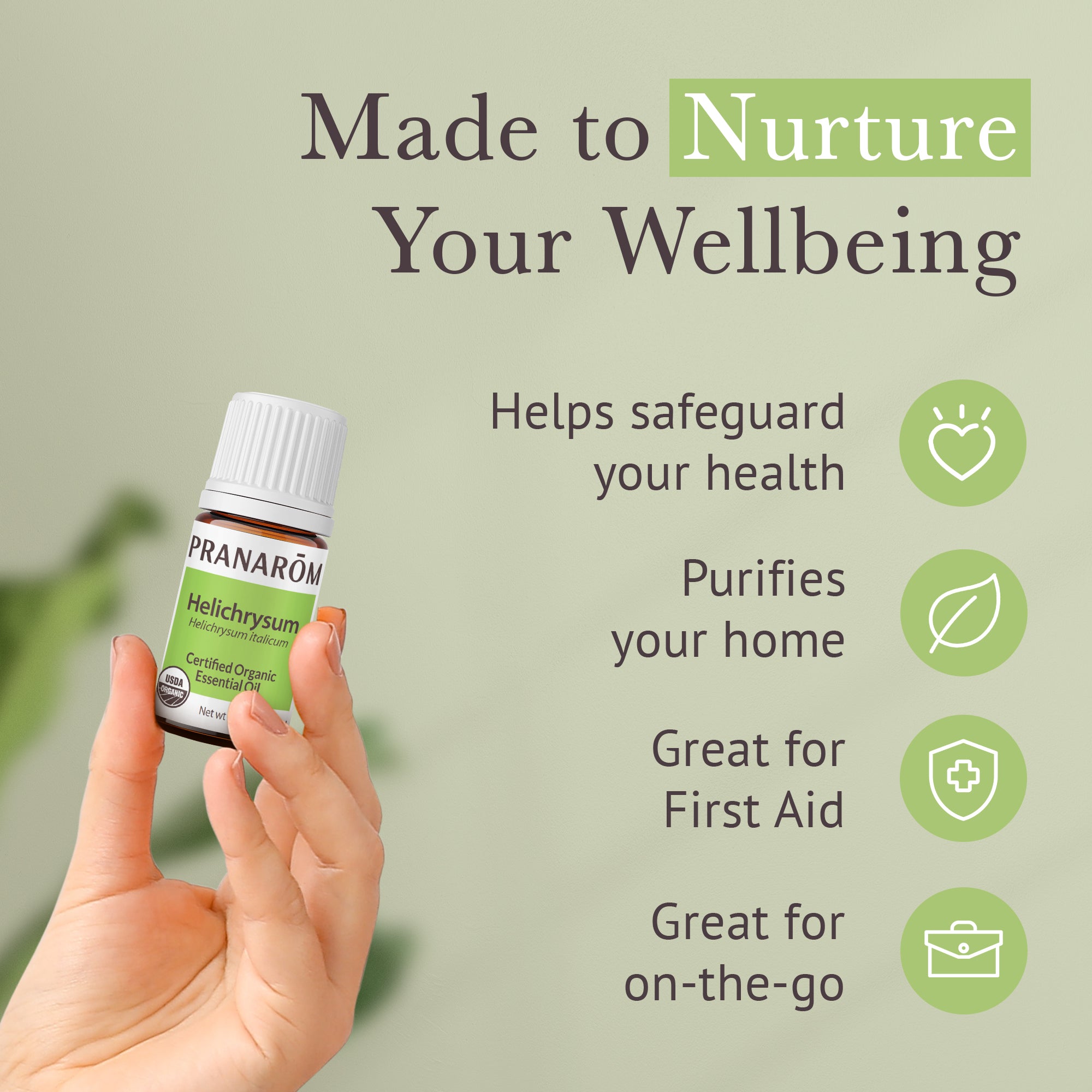 Helichrysum Essential Oil - Bio | Pranarôm