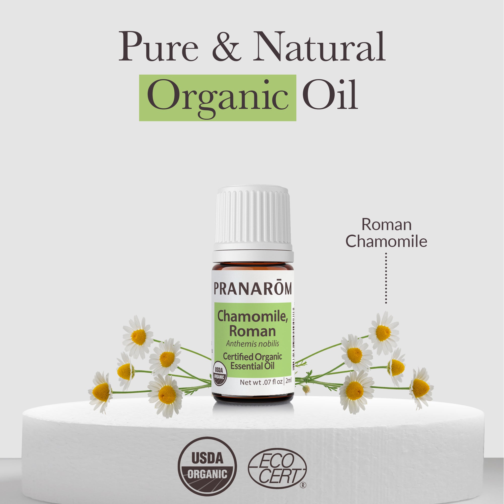 むぅ様　PRANAROM カモマイルローマン、ペパーミント、ジンジャー　精油 Chamomile, Roman Essential Oil - Organic | Pranarôm