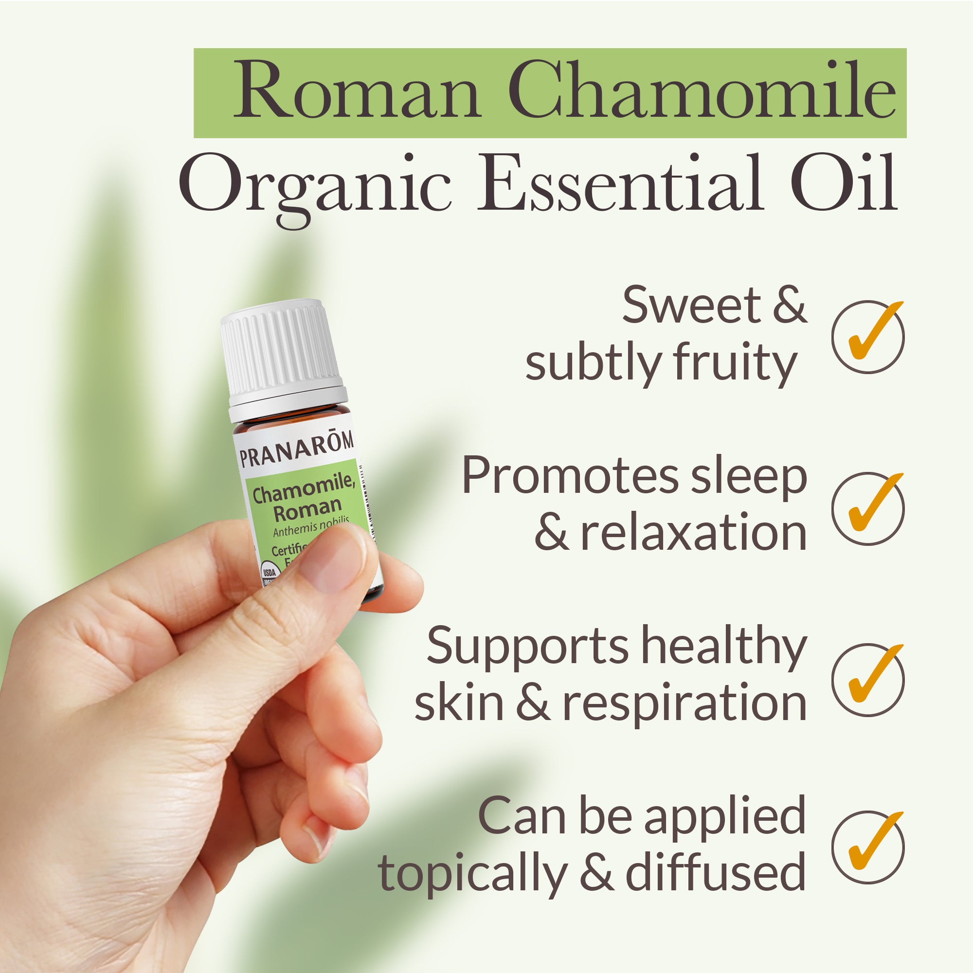Chamomile, Roman Essential Oil - Bio | Pranarôm