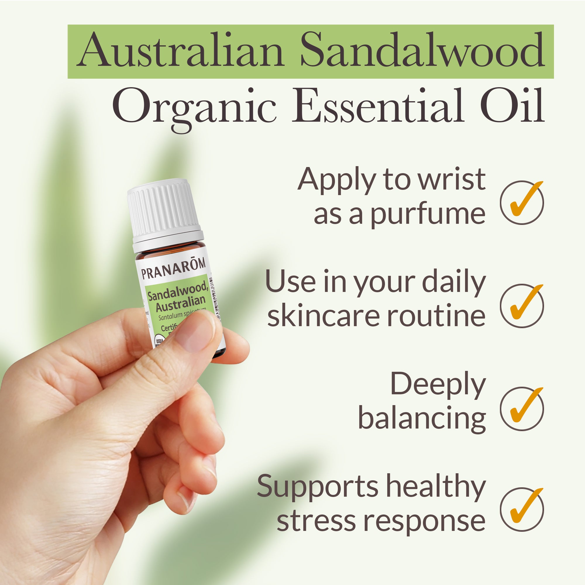 Sandalwood, Australian Essential Oil - Organic | Pranarôm