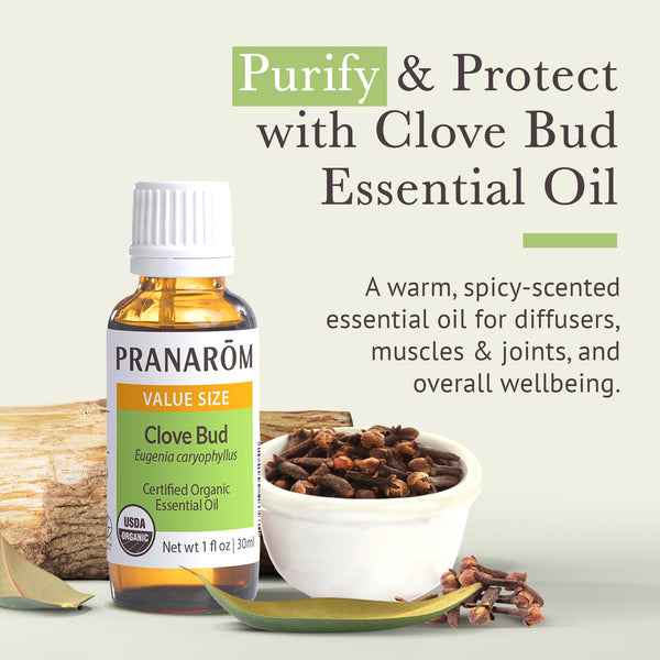 30clo1-single-notes-clove-pranarom-30ml-us-859493001939-02.jpg