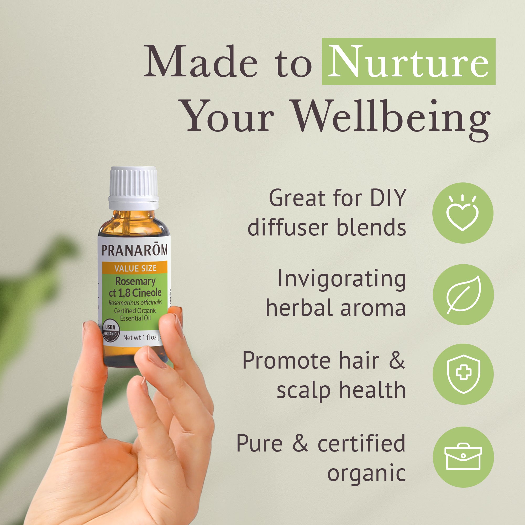Rosemary ct 1,8 cineole Essential Oil - Bio | Pranarôm