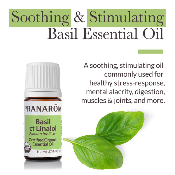 5bas1-single-notes-basil-pranarom-5ml-us-859493010023-02.jpg