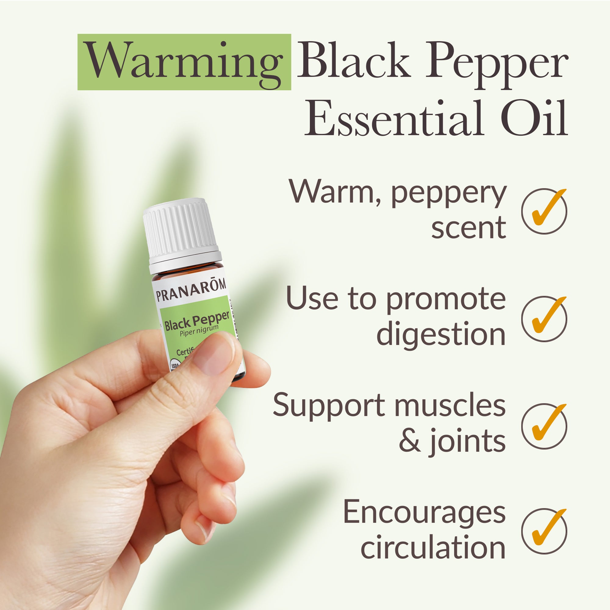 Black Pepper Essential Oil - Bio | Pranarôm