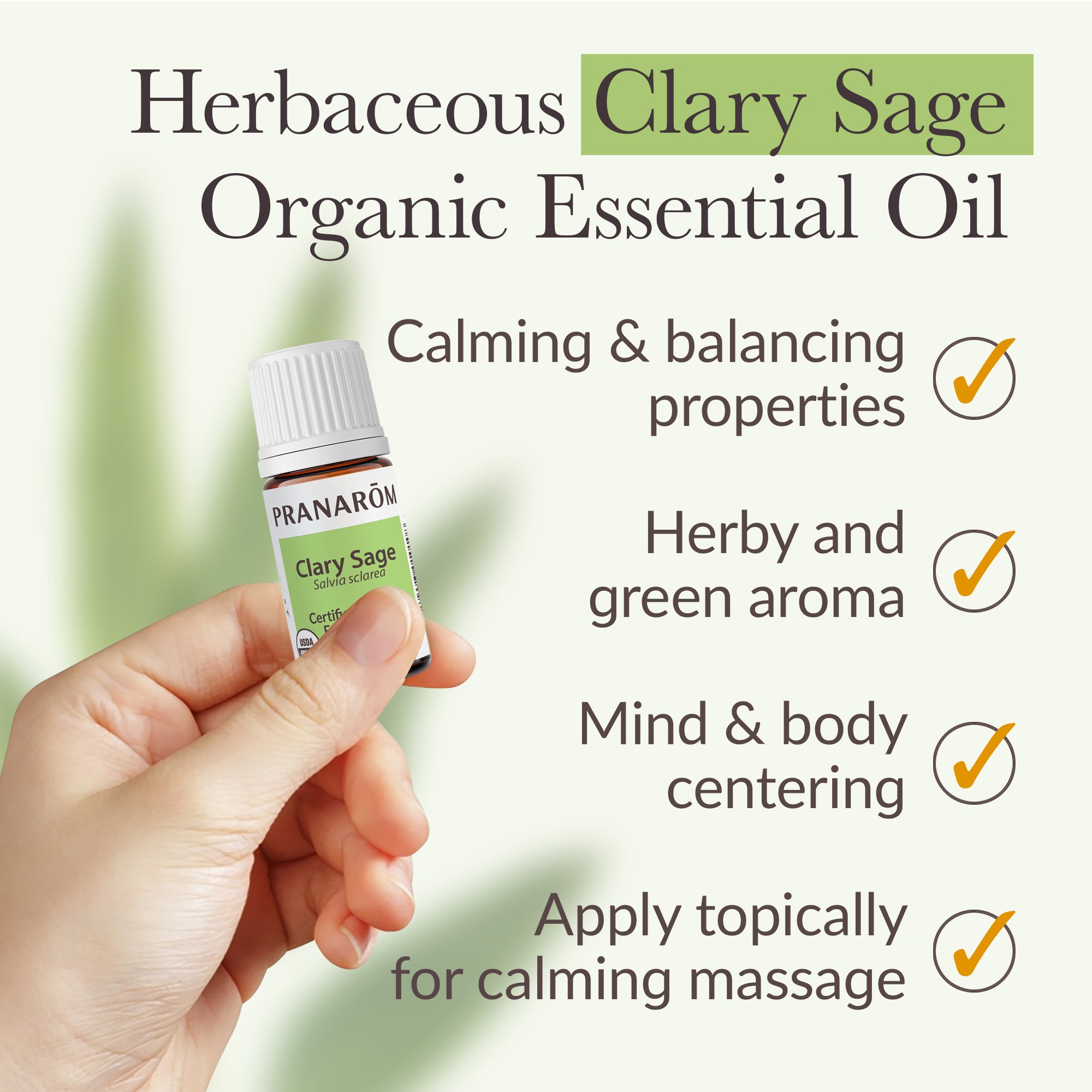 Clary Sage Essential Oil - Organic | Pranarôm