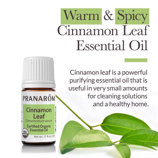 5cle1-single-notes-cinnamon-leaf-pranarom-5ml-us-859493010085-02.jpg