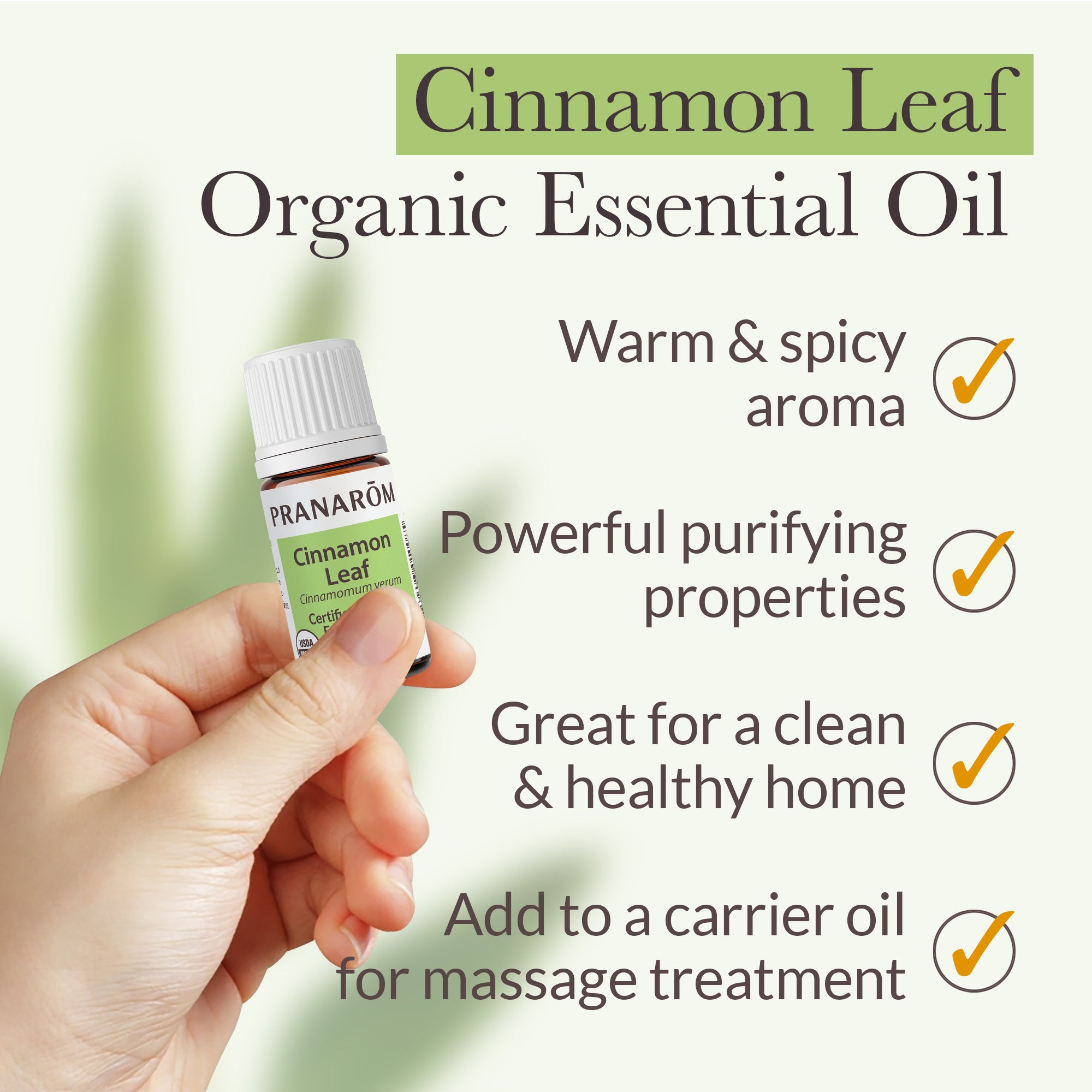 Cinnamon Leaf Essential Oil - Organic | Pranarôm